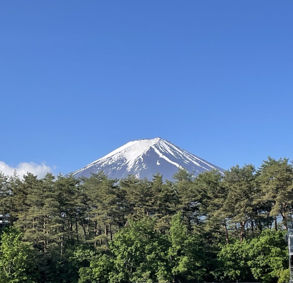 富士山だー！
