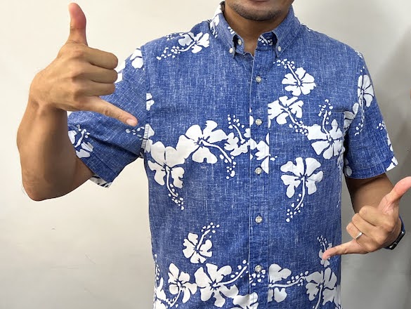 Hawaiian Vibes with True-san